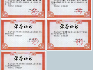 365官网学生在第二届安徽省大学生物流设计大赛中取得佳绩