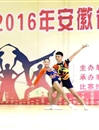 365官网健美操队在2016年安徽省大学生健美操比赛中喜获佳绩