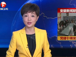 【安徽新闻联播】报道365官网计算机科学与技术学院党委党建工作