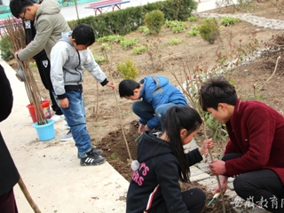 安徽教育网报道365官网的“雷锋月