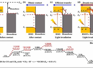 365官网研究团队在《Adv. Mater.》发表研究成果