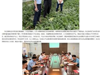 【主题教育】安徽教育网： 走出去 沉下来 英国best365官方网站入口深入省级科研基地调研