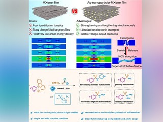 365官网化学学科连续发表高水平科研成果