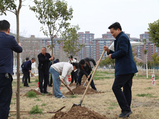 师生共植树 校园添绿意